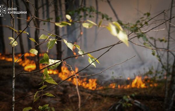 На Київщині рятувальники з декількох областей четвертий день поспіль борються з масштабною лісовою пожежею.