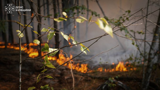 На Київщині рятувальники з декількох областей четвертий день поспіль борються з масштабною лісовою пожежею. 2