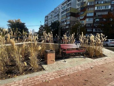 Економія ресурсів та адаптація до змін клімату: у Києві збільшують кількість локацій з декоративними злаками