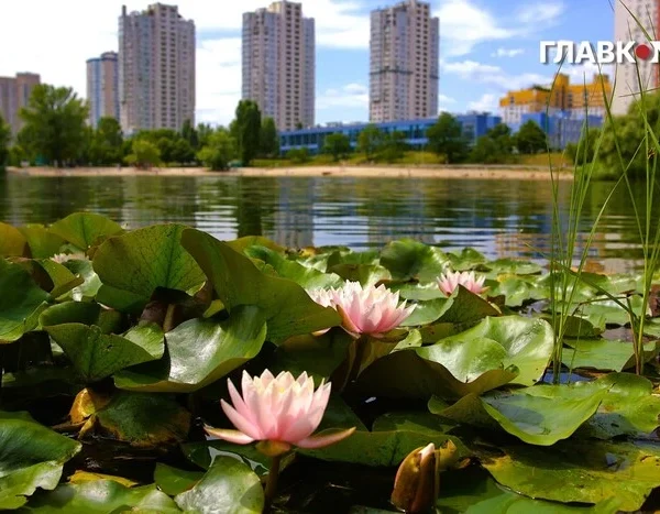 Літній відпочинок біля води в столиці. Місця для безпечного плавання (перелік)