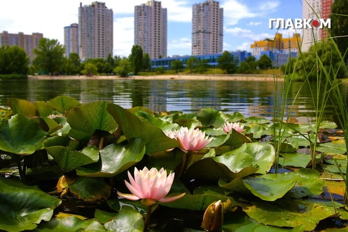 Пляжний сезон у Києві. Де купатися безпечно (список)