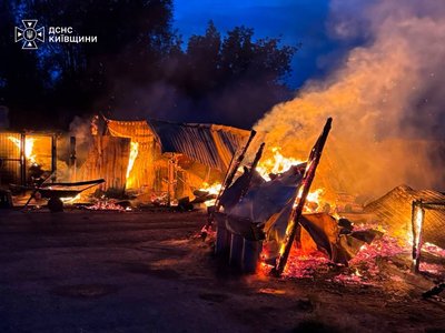 На Київщині сталася пожежа у притулку «Сіріус»: загинули 8 собак