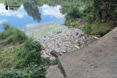 Масова загибель риби у водоймах на Київщині: проби відібрали у криницях, свердловинах і ґрунті