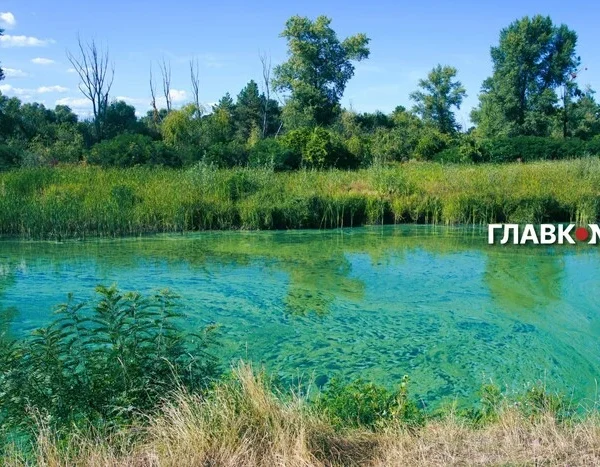 Чому річка Дніпро знову зацвіла і які ризики це несе: роз’яснення фахівця з біології