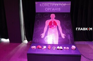 «Людське тіло». Інтерактивна виставка з розмахом розпочала роботу в Києві (фото) 37