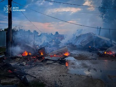 На Київщині сталася пожежа у притулку «Сіріус»: загинули 8 собак