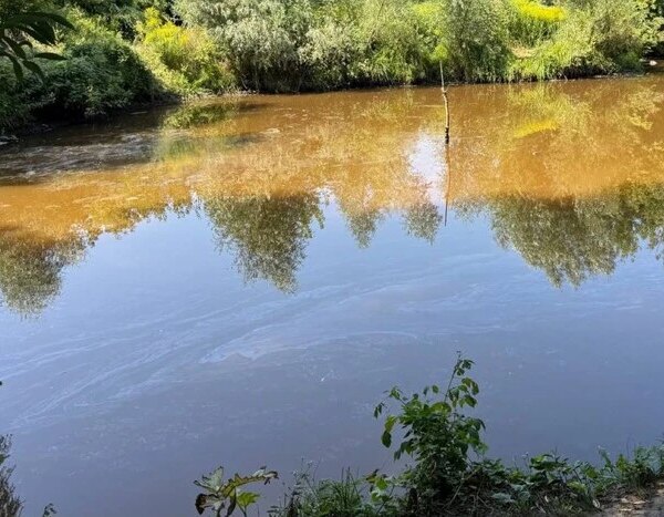 Київська річка Борщагівка забруднена через ворожу атаку.