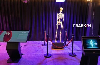 «Людське тіло». Інтерактивна виставка з розмахом розпочала роботу в Києві (фото) 49