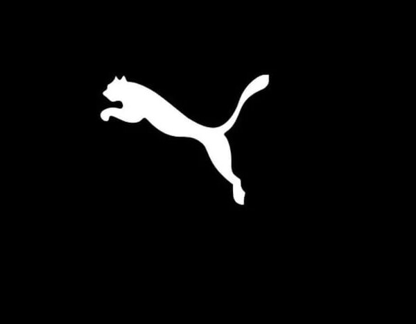 Ракетним ударом знищено логістичний центр Puma, можливий дефіцит