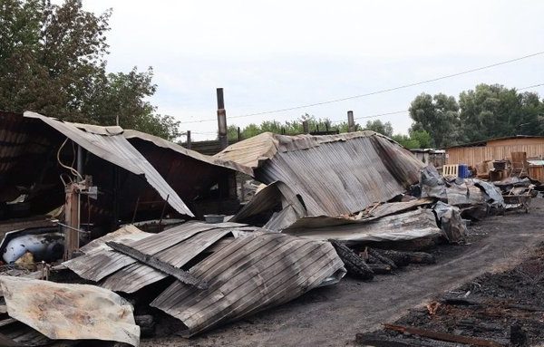 На Київщині виникла пожежа в притулку «Сіріус»: загинули 8 собак