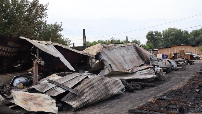 На Київщині виникла пожежа в притулку «Сіріус»: загинули 8 собак 3