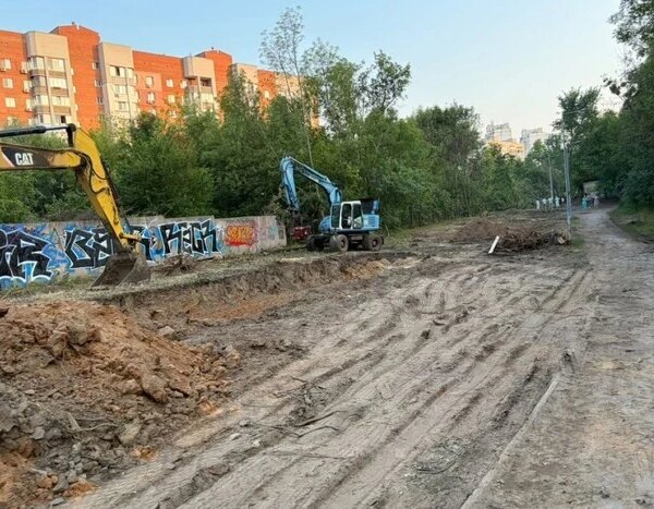 Видалення дерев для тепломережі у Теремках: експерт висунув іншу пропозицію
