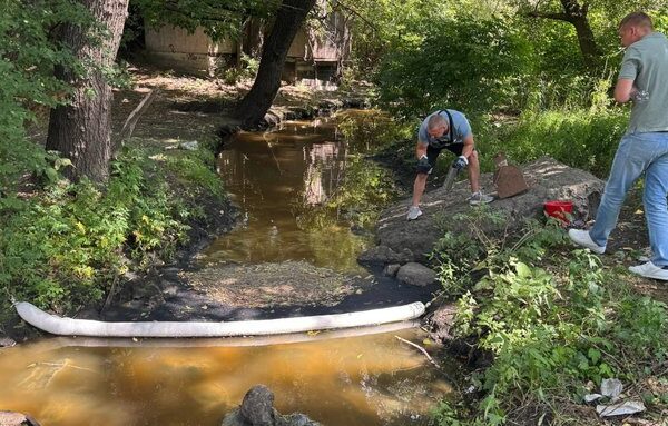 Забруднення водойм та загибель риби в Борщівській громаді: екоінспекція поділилася підсумками досліджень