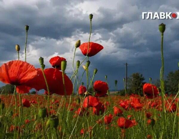 На Київщині та в столиці діє штормове попередження
