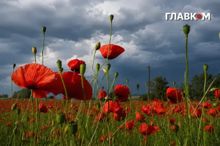 Штормове попередження оголошено в столиці та області