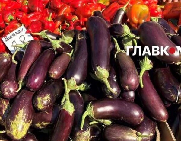 Продовольчі ярмарки сезону пройдуть у столиці з 25 по 30 серпня (місця проведення)