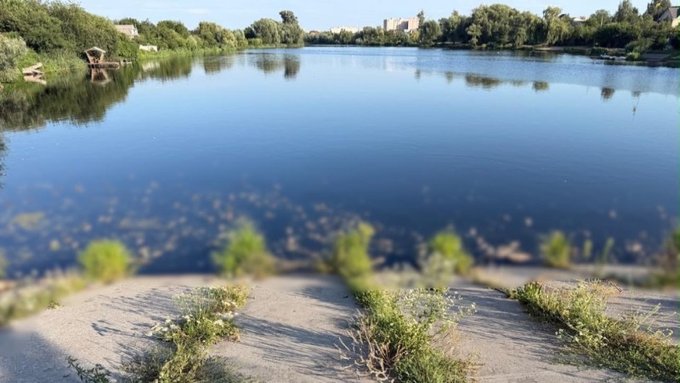Гине велика кількість риби: скидання стічних вод під час реконструкції каналізації спричинило забруднення водойм Київської області 2