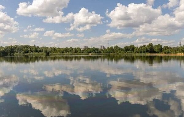 Озеро Кирилівське та струмок Сирець у Києві очищають від нафтопродуктів, що потрапили туди через російську атаку, за допомогою біологічного засобу.