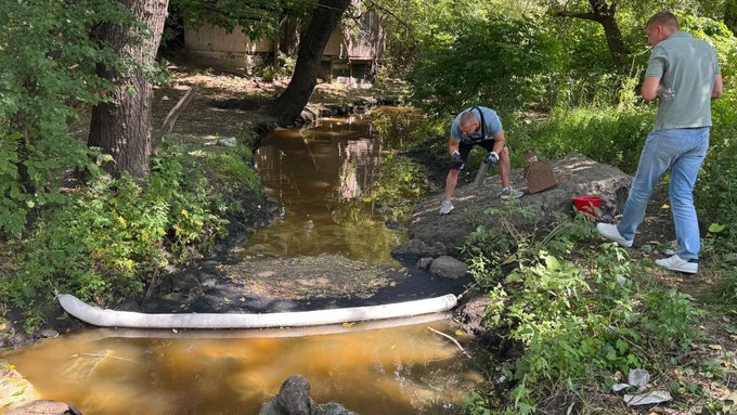 Забруднення водойм та загибель риби в Борщагівській громаді: екоінспекція оприлюднила результати перевірок