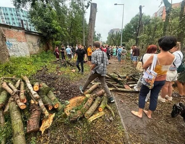 «Іншого виходу не було». Влада пояснила знищення дерев для тепломережі на Теремках