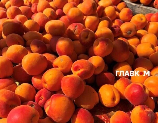 Де у Києві відбуватимуться продуктові ярмарки 18-23 серпня (адреси)