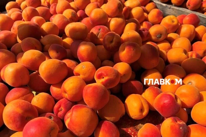 Де у Києві проходитимуть продуктові ярмарки 18-23 серпня (адреси)