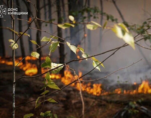 Київщина у вогняній небезпеці: оголошено надзвичайний рівень пожеж