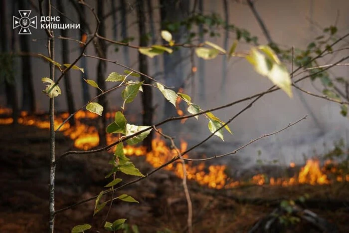 На Київщині оголошено надзвичайний рівень пожежної небезпеки