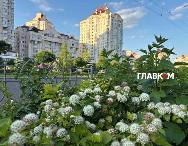 Київське літо-2026: спека до +40°С та чотири температурні рекорди