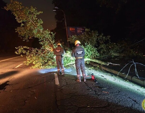 Дерево впало на дорогу, обірвавши електролінію в Шевченківському районі