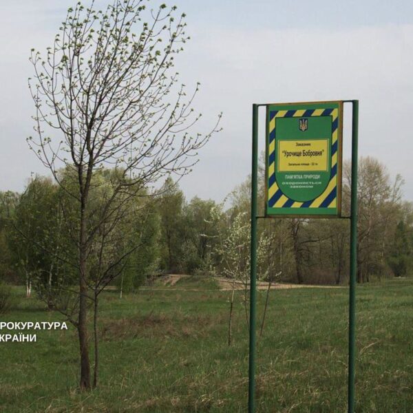 Прокуратура відстоює кордони заказника «Урочище Бобровня» навколо острова Муромець
